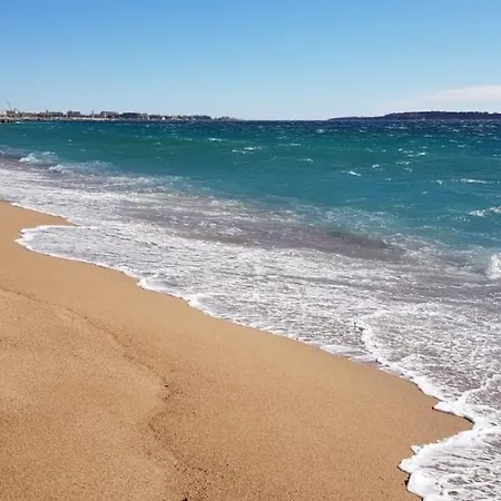 Les Pins Cannes
